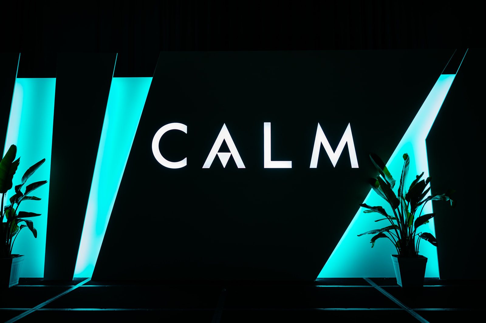 The CALM mark lit white between angular panels, with teal light in the gaps and palms on either side